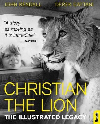 Christian The Lion by John Rendall image