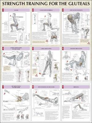 Buttocks Poster by Frederic Delavier image