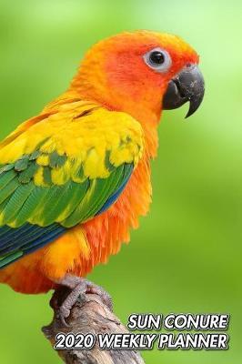 Sun Conure 2020 Weekly Planner by Notebooks Journals Xlpress image