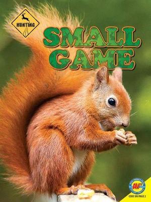 Small Game by Janet Gurtler image