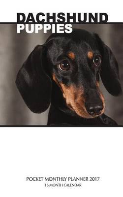 Dachshund Puppies Pocket Monthly Planner 2017 by David Mann image