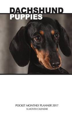 Dachshund Puppies Pocket Monthly Planner 2017 image