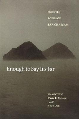 Enough to Say It's Far by Chaesam Pak image