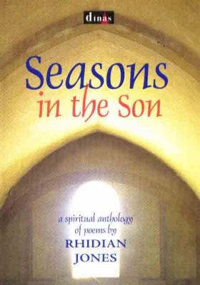 Seasons in the Son by Rhidian Jones image