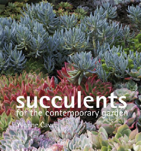 Succulents For The Contemporary Garden on Paperback by Yvonne Cave