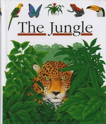 The Jungle by Rene Mettler image