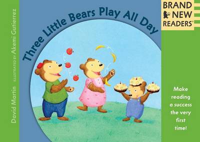 Three Little Bears Play All Day on Hardback by David Martin