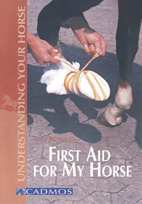First Aid by Anke Ruesbueldt image