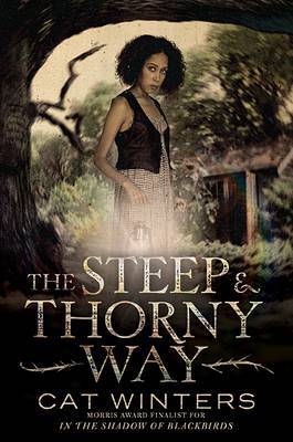 Steep and Thorny Way, The by Cat Winters image