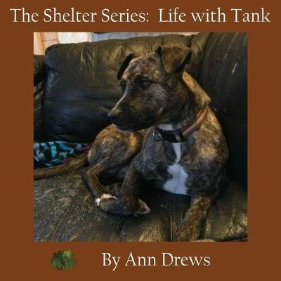 The Shelter Series by Ann Drews image