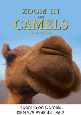 Zoom in on Camels by Marilyn Sheffield image