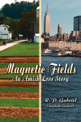 Magnetic Fields on Hardback by R. P. Gabriel