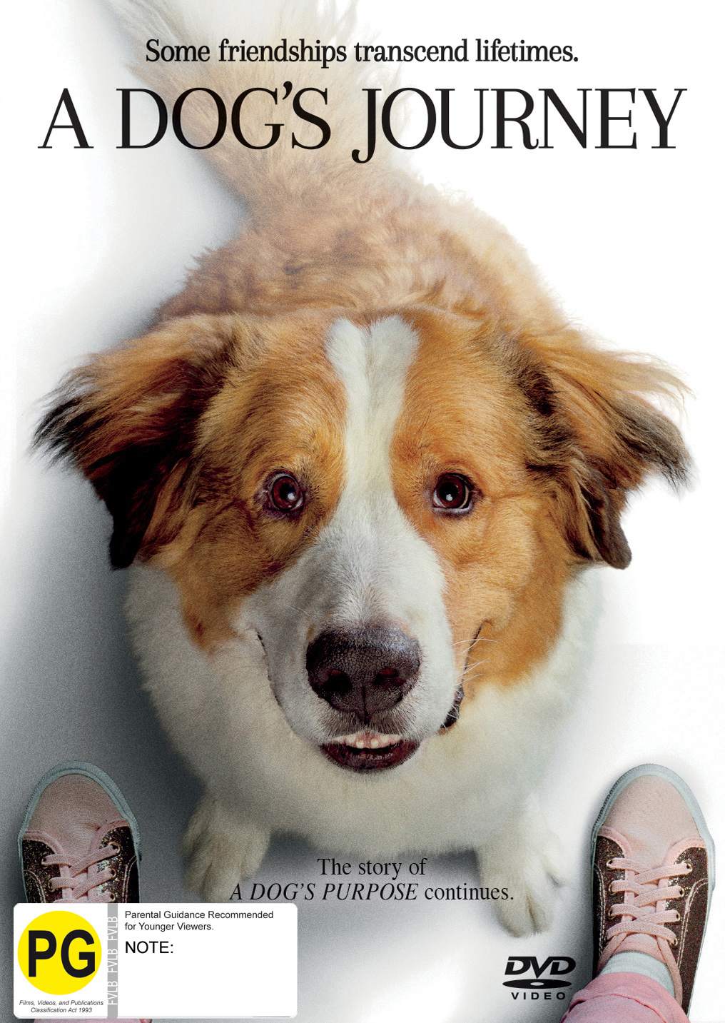 A Dog's Journey on DVD image