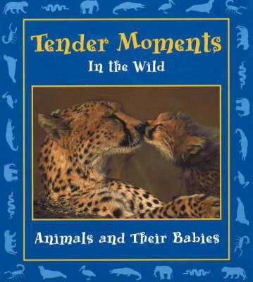 Tender Moments in the Wild by Stephanie Maze image