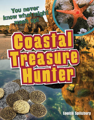 Coastal Treasure Hunter image