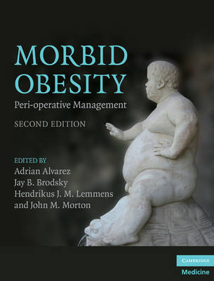 Morbid Obesity image