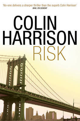 Risk by Colin Harrison image