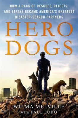Hero Dogs by Paul Lobo image