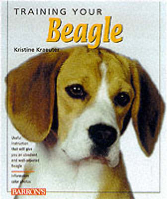 Training Your Beagle on Paperback by Kristine Kraeuter