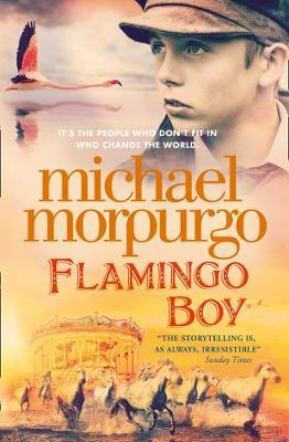 Flamingo Boy by Michael Morpurgo image