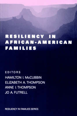 Resiliency in African-American Families image