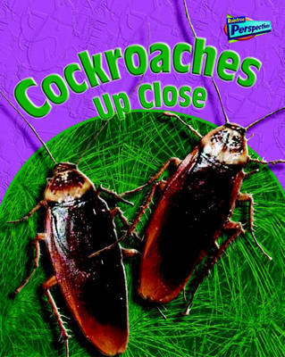 Cockroaches Up Close by Robin Birch image