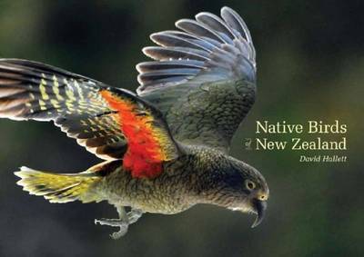 Native Birds of New Zealand by David Hallett image