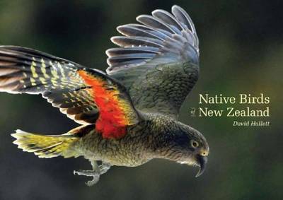 Native Birds of New Zealand on Hardback by David Hallett