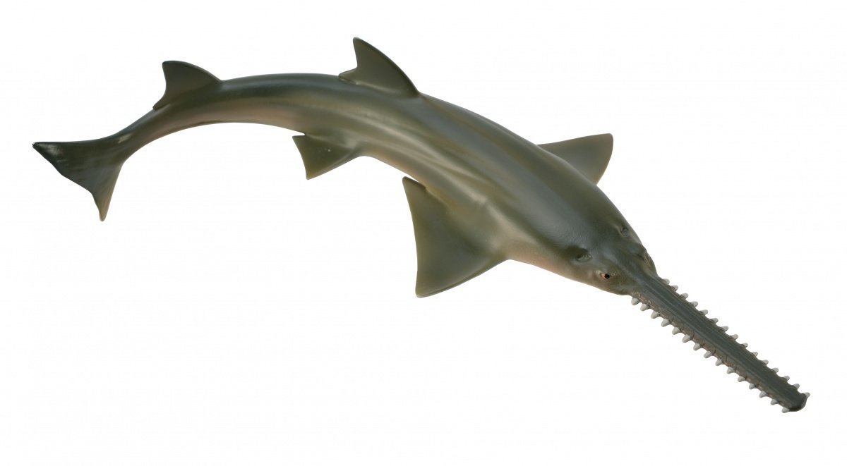 CollectA - Sawfish image