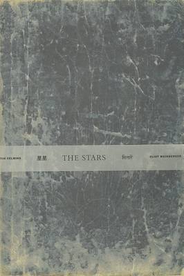 Vija Celmins: The Stars image