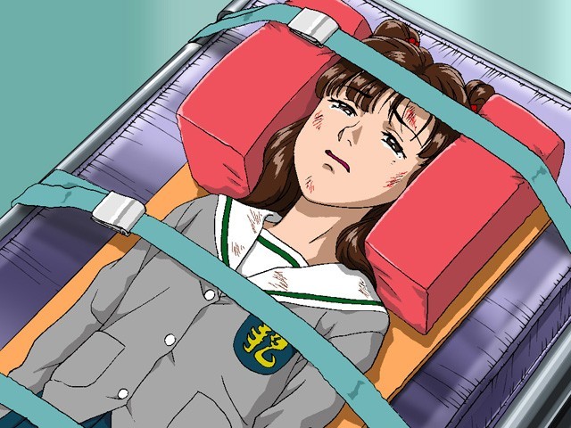 Lifesigns: Surgical Unit (aka Lifesigns: Hospital Affairs) for Nintendo DS image