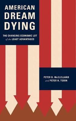 American Dream Dying by Peter D. McClelland image