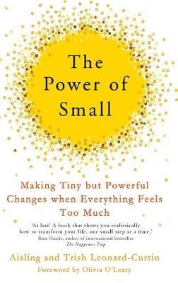 The Power of Small by Aisling Curtin image