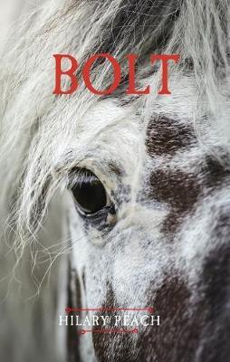 Bolt by Hilary Peach image