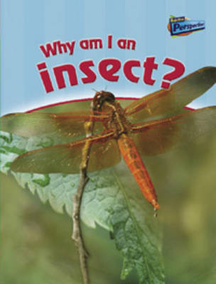 Why am I an Insect? by Greg Pyers image