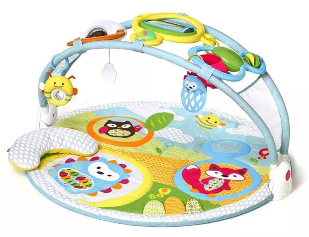 skip hop activity gym australia