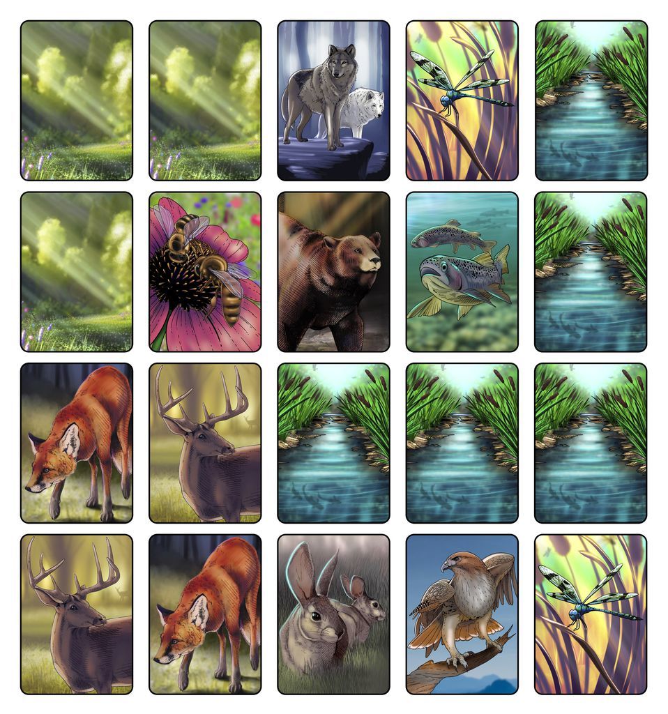Ecosystem - Card Game image