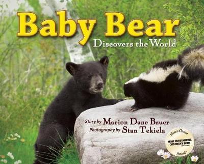 Baby Bear Discovers the World on Hardback by Marion Dane Bauer