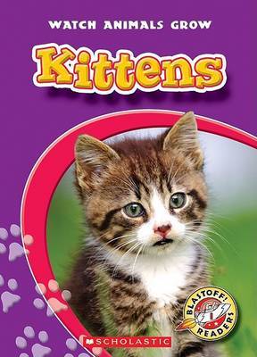 Kittens by Colleen Sexton (Governors State University) image