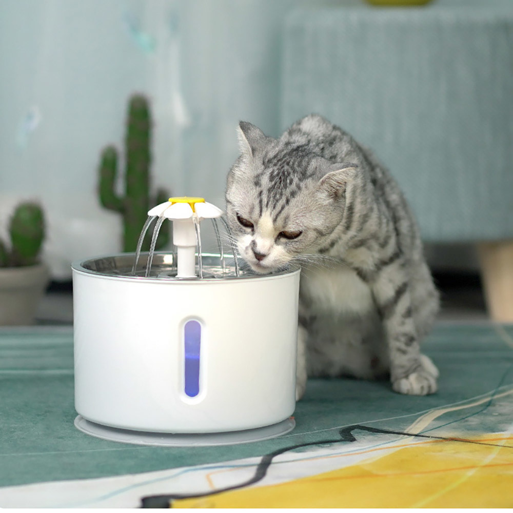 Ape Basics: Pet Electric Water Dispenser