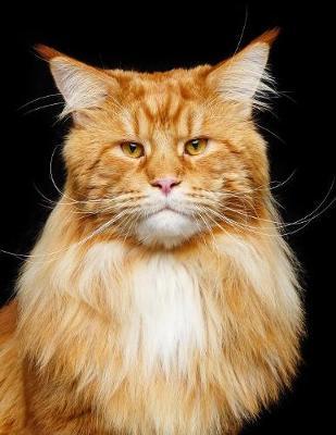 Maine Coon by Notebooks Journals Xlpress image