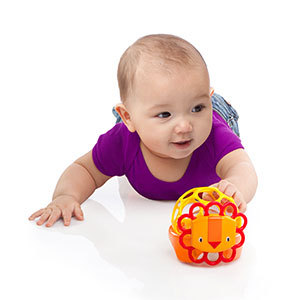 Oball: Rollie Rattle - Lion image