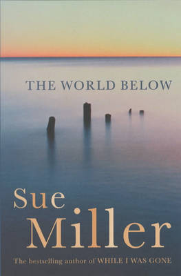 The World Below by Sue Miller image