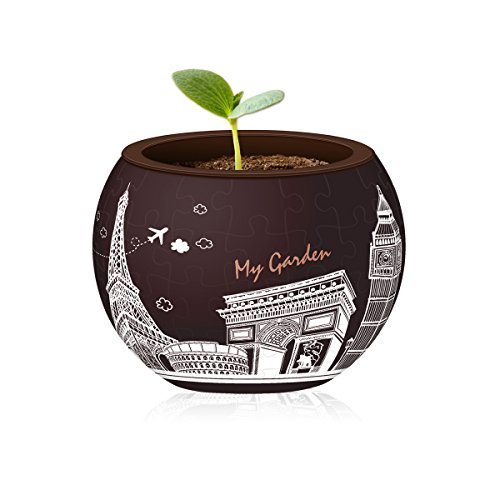 Pintoo: 80-Piece Puzzle Flower Pot - Modern Architectures image