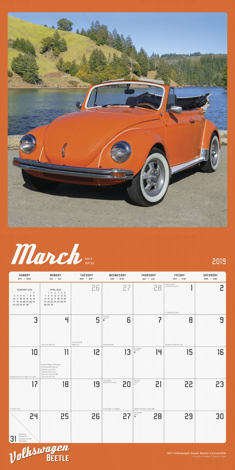 Volkswagen Beetle 2019 Square Wall Calendar image