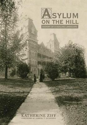 Asylum on the Hill by Katherine Ziff image