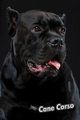 Cane Corso by Notebooks Journals Xlpress