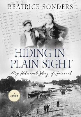 Hiding in Plain Sight by Beatrice Sonders image