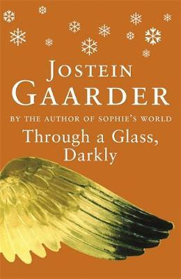 Through A Glass, Darkly by Jostein Gaarder image