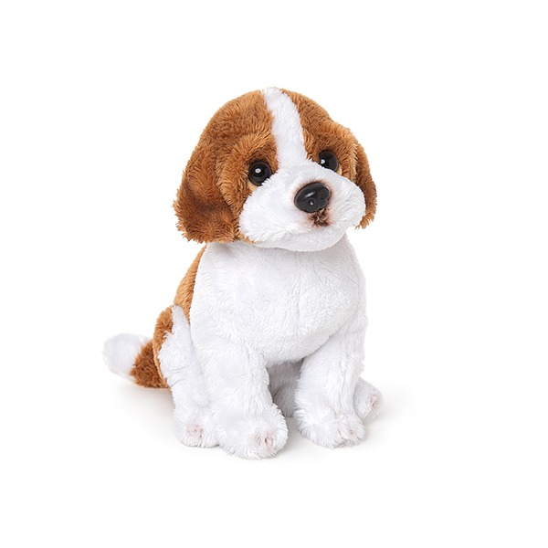 Dog: Barry St Bernard Junior 15Cm image